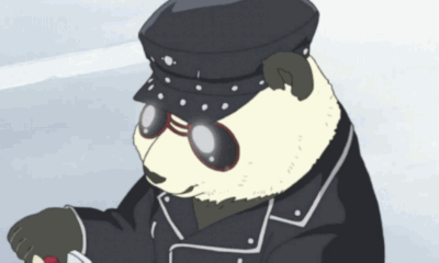 kaihua宝宝
